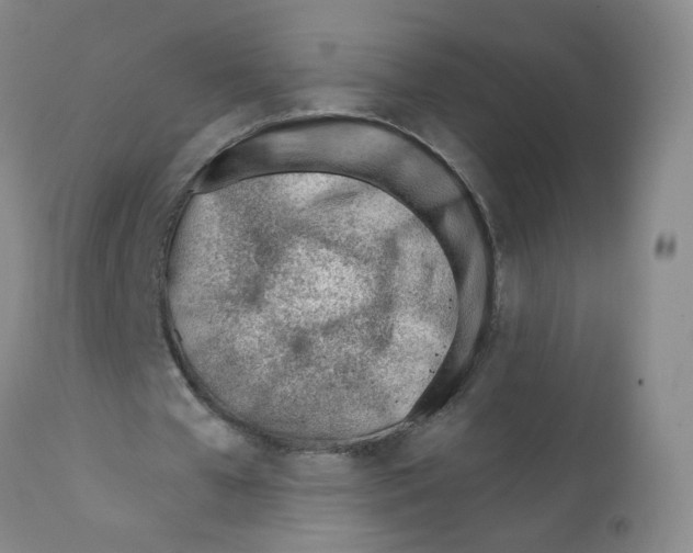 X0000112080577200909151115