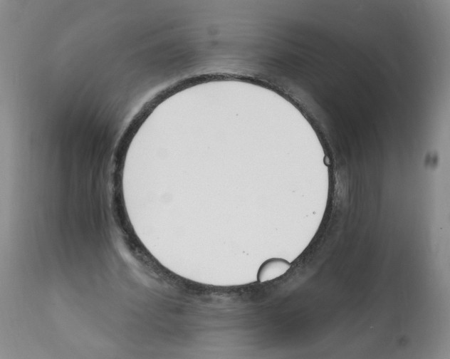 X0000112080580200909151115