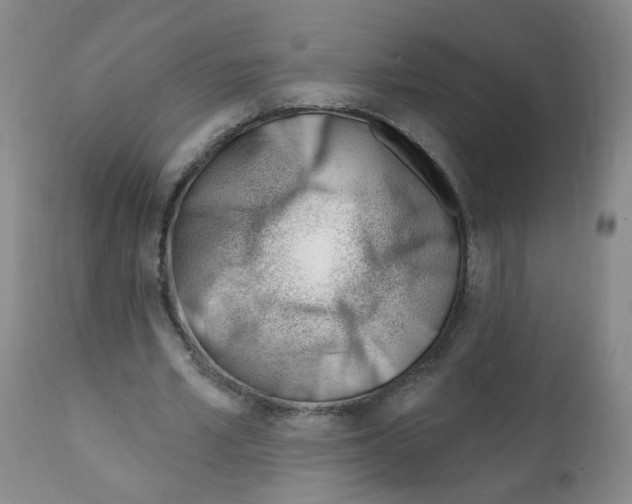 X0000112080581200909151115