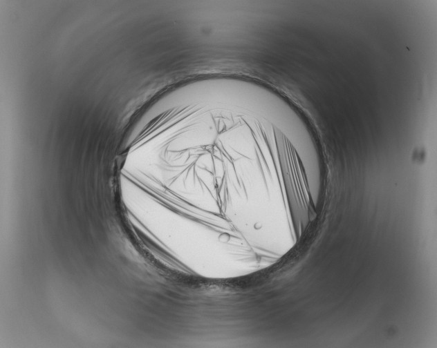 X0000112080585200909151115