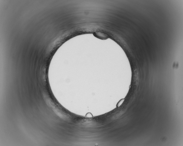 X0000112080589200909151115