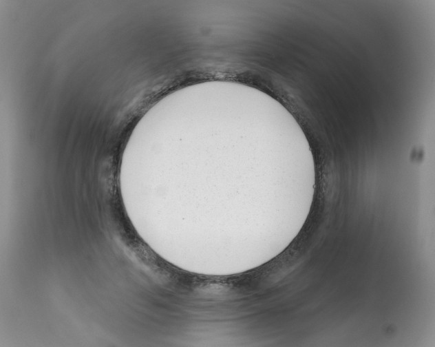 X0000112080594200909151115