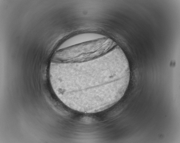 X0000112080596200909151115