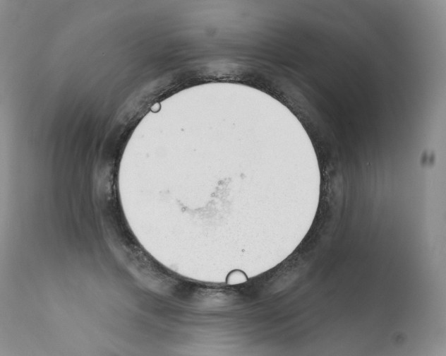 X0000112080597200909151115