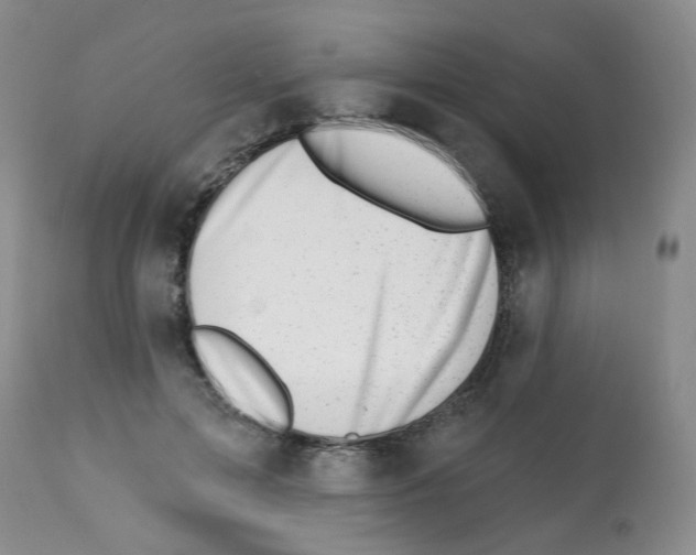 X0000112080599200909151115