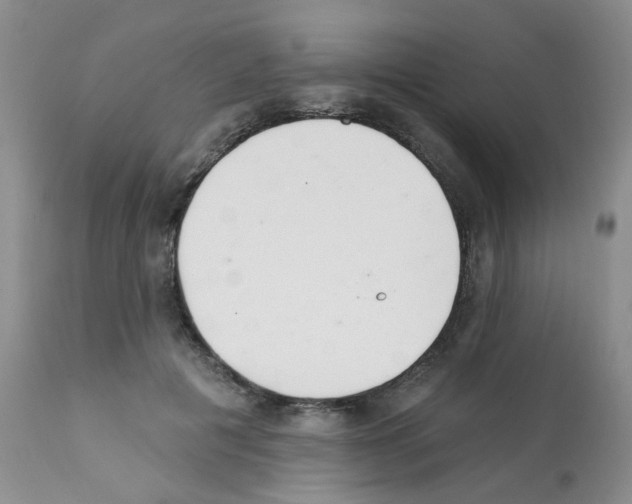 X0000112080601200909151115