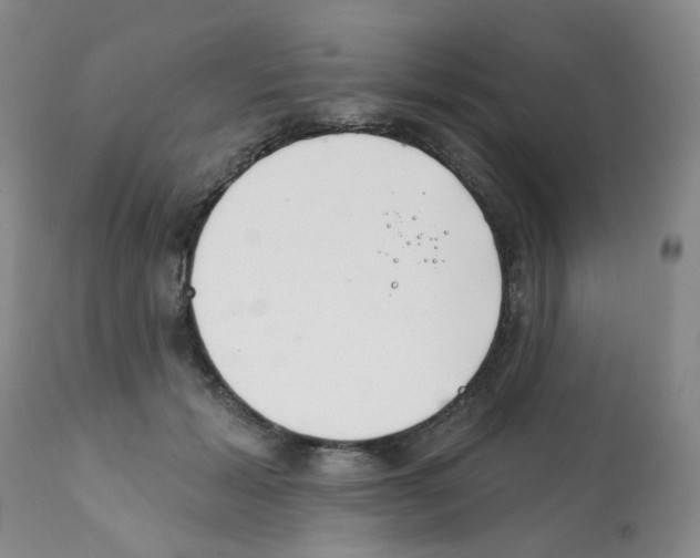 X0000112080605200909151115