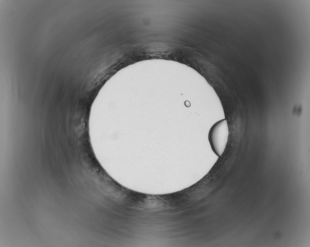 X0000112080608200909151115
