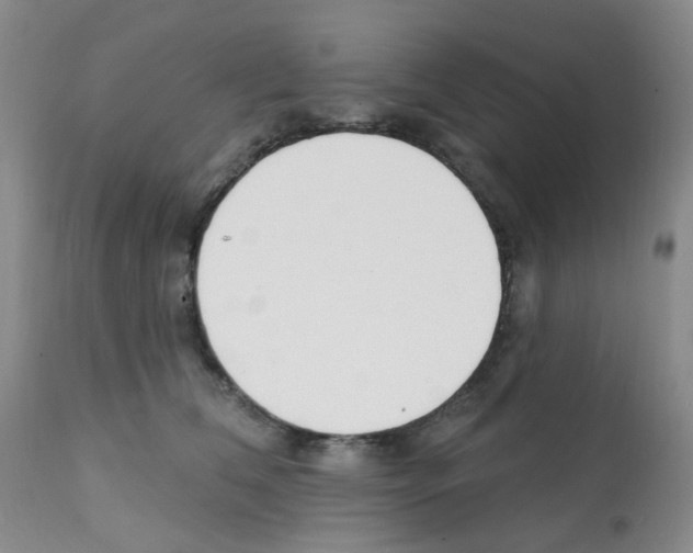 X0000112080612200909151114