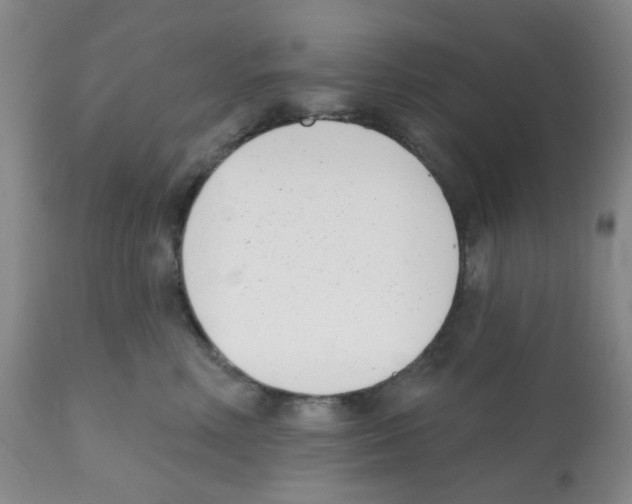 X0000112080618200909151114