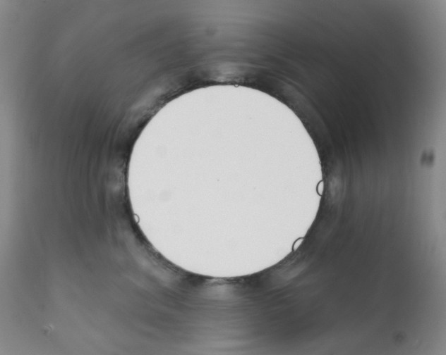 X0000112080620200909151114