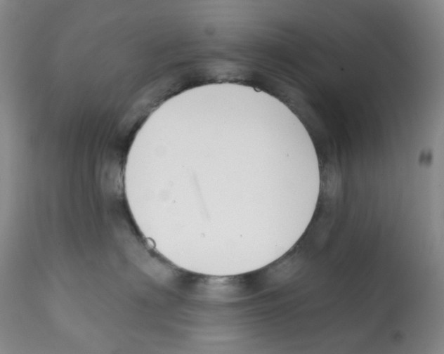 X0000112080622200909151114