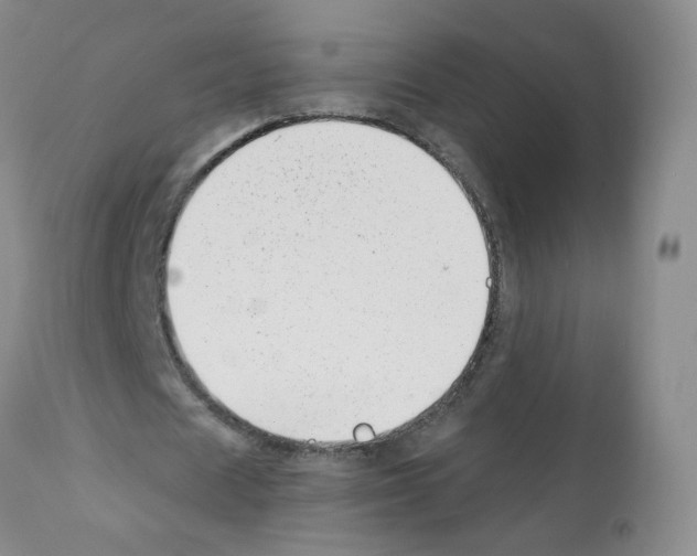 X0000112080625200909151113