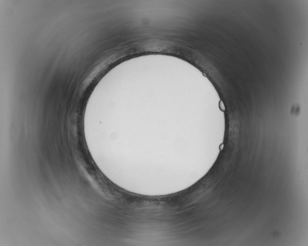 X0000112080626200909151113