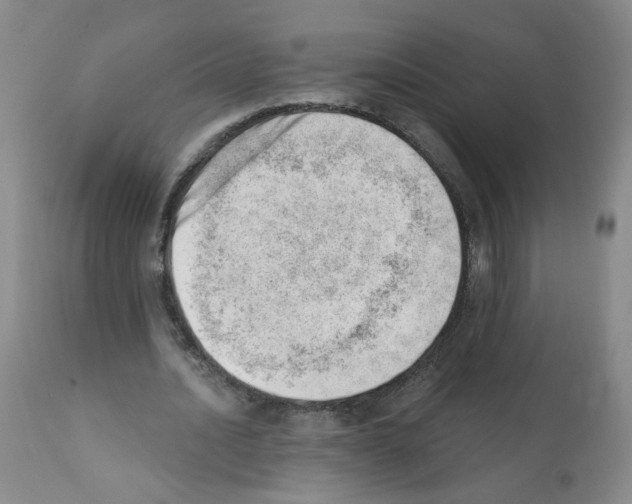 X0000112080628200909151114