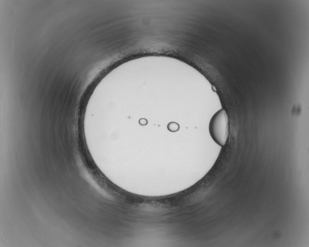 X0000112080630200909151114