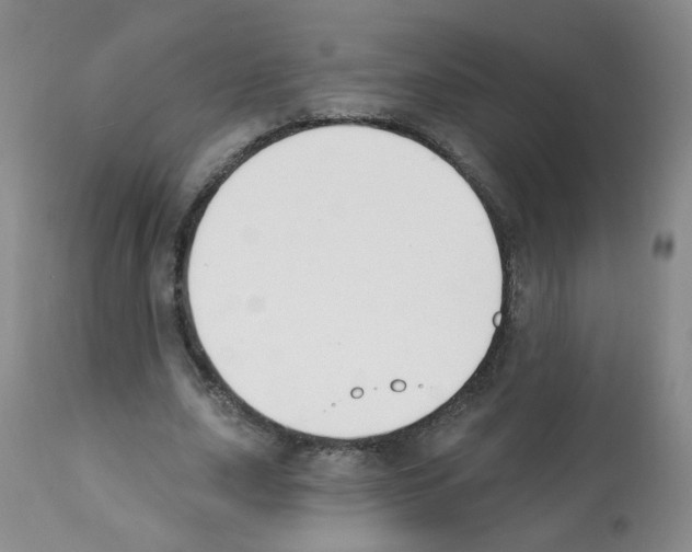 X0000112080631200909151114