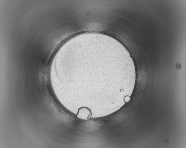 X0000112080632200909151114