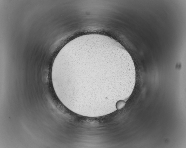 X0000112080640200909151114