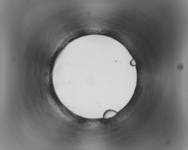 X0000112080642200909151114