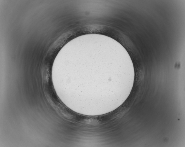 X0000112080644200909151114