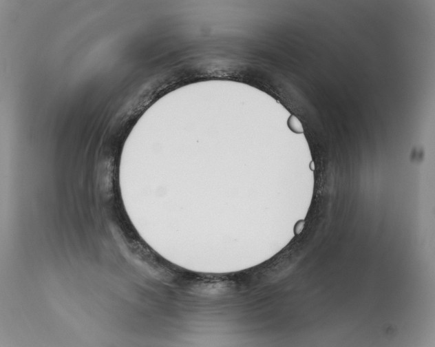 X0000112080646200909151114
