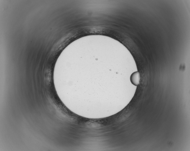 X0000112080648200909151114