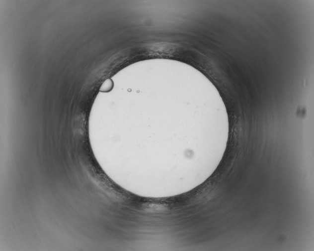 X0000112080649200909151114