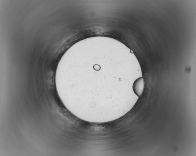 X0000112080650200909151114