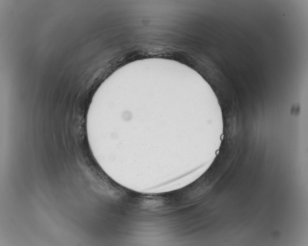 X0000112080653200909151114