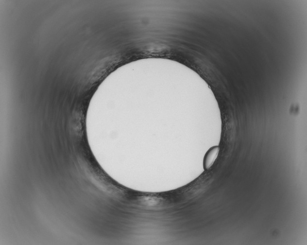 X0000112080654200909151114