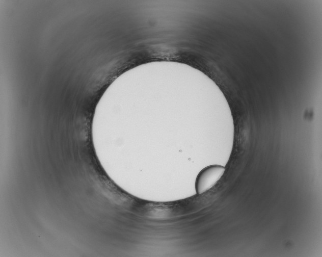 X0000112080658200909151114