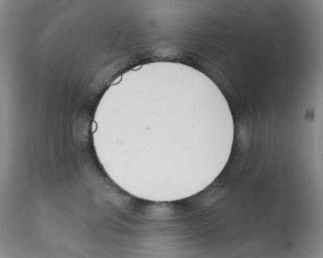 X0000112080668200909151114