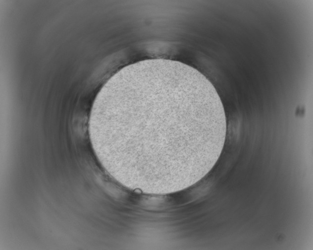 X0000112080671200909151114