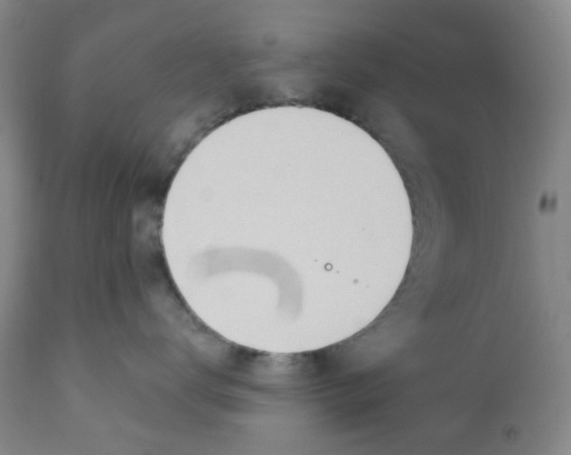 X0000112080672200909151114