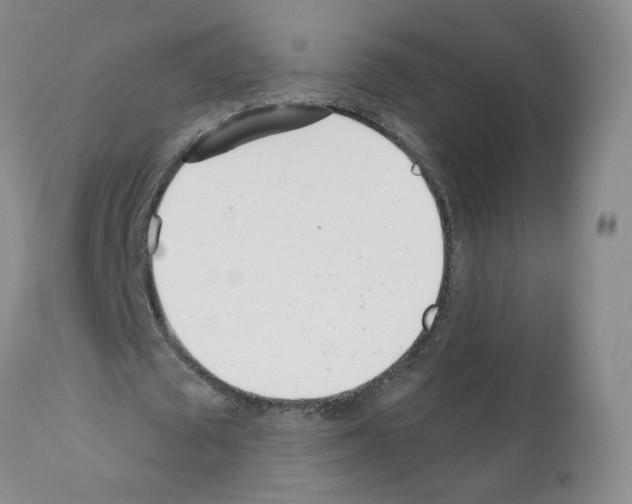 X0000112080673200909151113