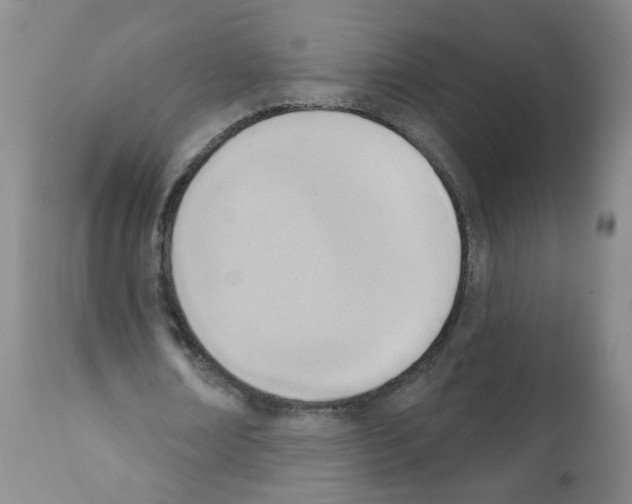 X0000112080674200909151113