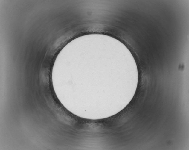 X0000112080681200909151113