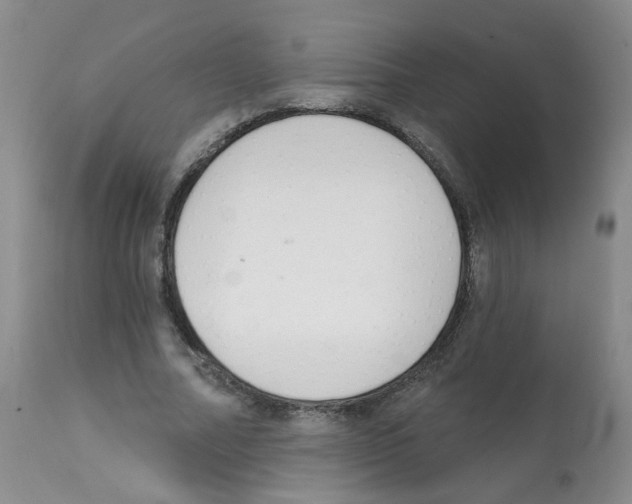 X0000112080682200909151113