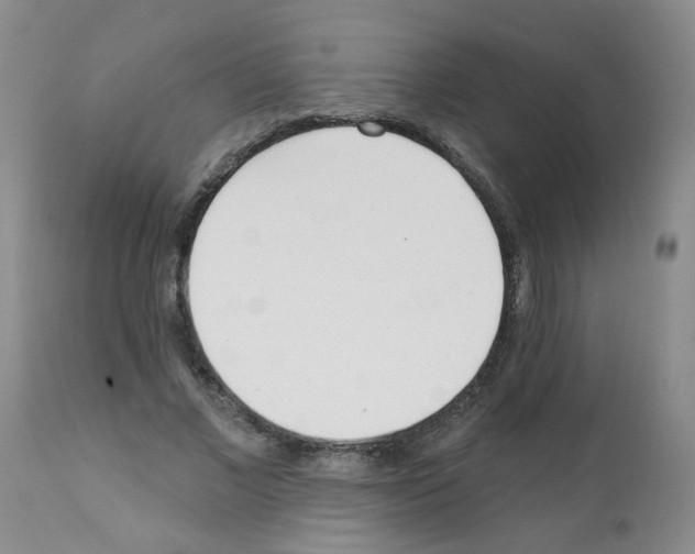 X0000112080685200909151113
