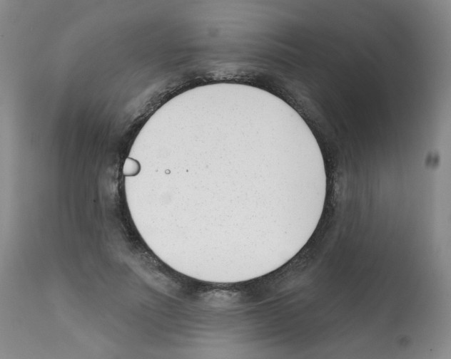 X0000112080691200909151113