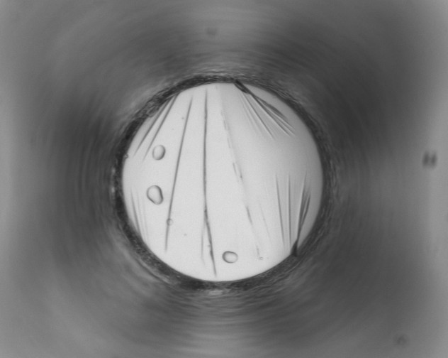 X0000112080692200909151113
