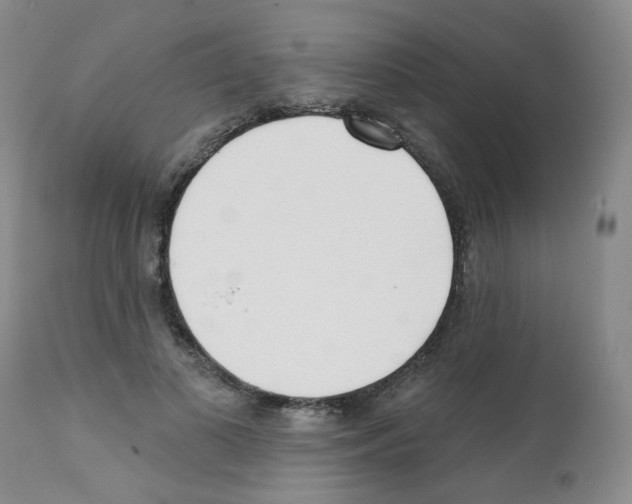 X0000112080693200909151113