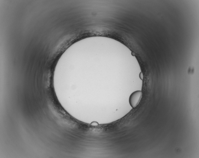 X0000112080694200909151113