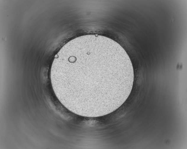 X0000112080695200909151113