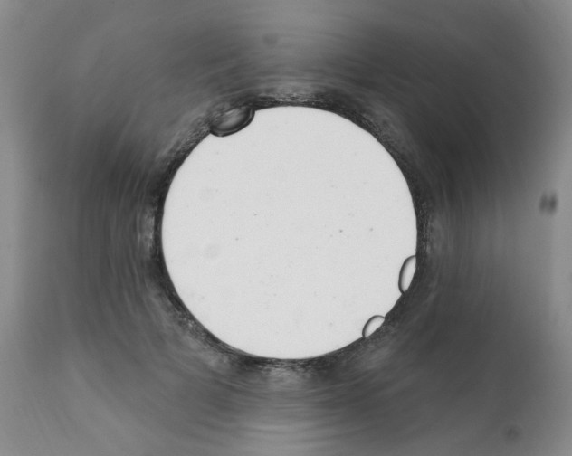 X0000112080697200909151113