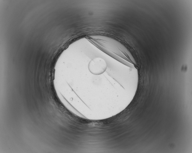 X0000112080700200909151113