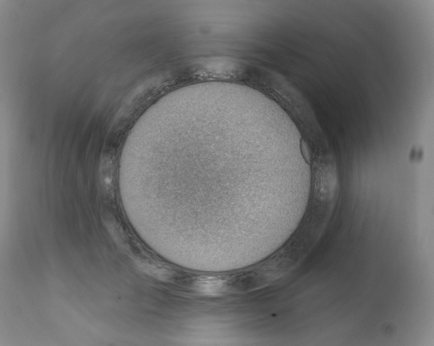 X0000112080701200909151113