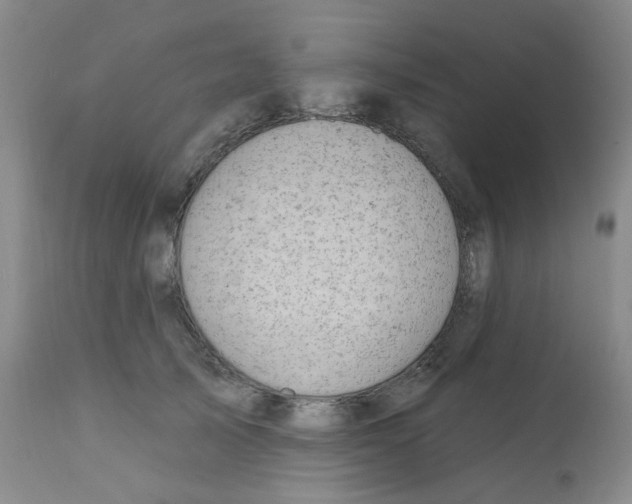 X0000112080705200909151113