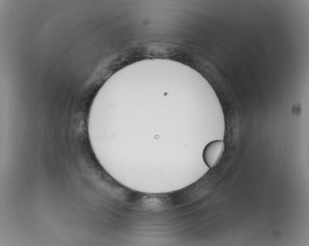 X0000112080706200909151113